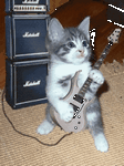 pic for Cat Rocker